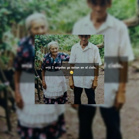 Meet your Posher, Diana - Picture 1 of 1